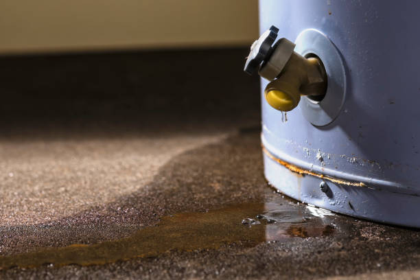 Best Local water damage restoration  in Woodlake, VA