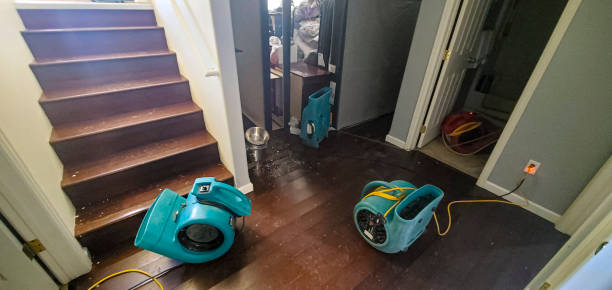 Trusted Woodlake, VA Water damage restoration Experts