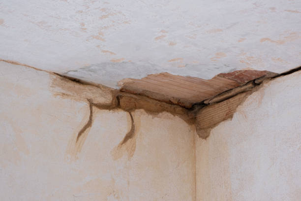 Professional Water damage restoration in Woodlake, VA