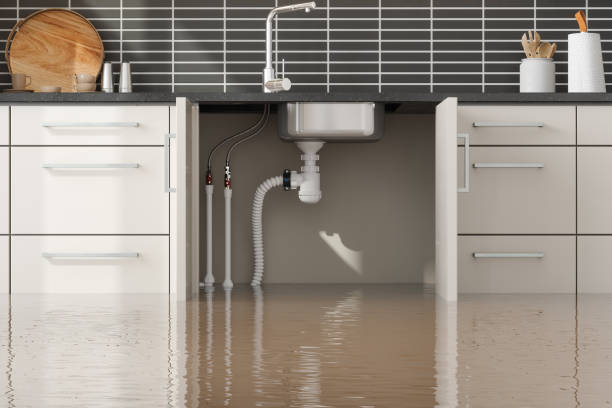 Best Professional water damage repair  in Woodlake, VA