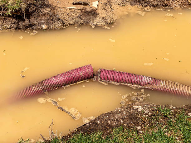 Best Basement water damage restoration  in Woodlake, VA