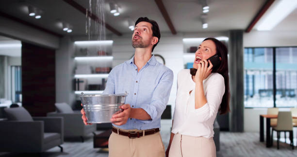 Best Water damage restoration company  in Woodlake, VA
