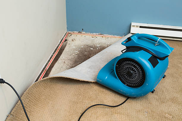 Local water damage restoration in Woodlake, VA